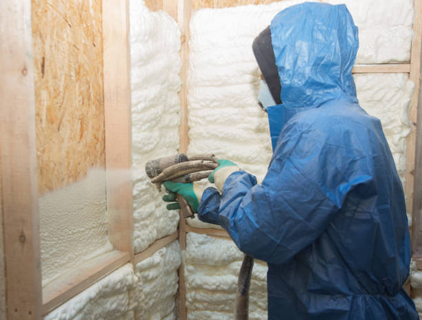 Best Pipe and Duct Insulation  in Prairie Du Chien, WI